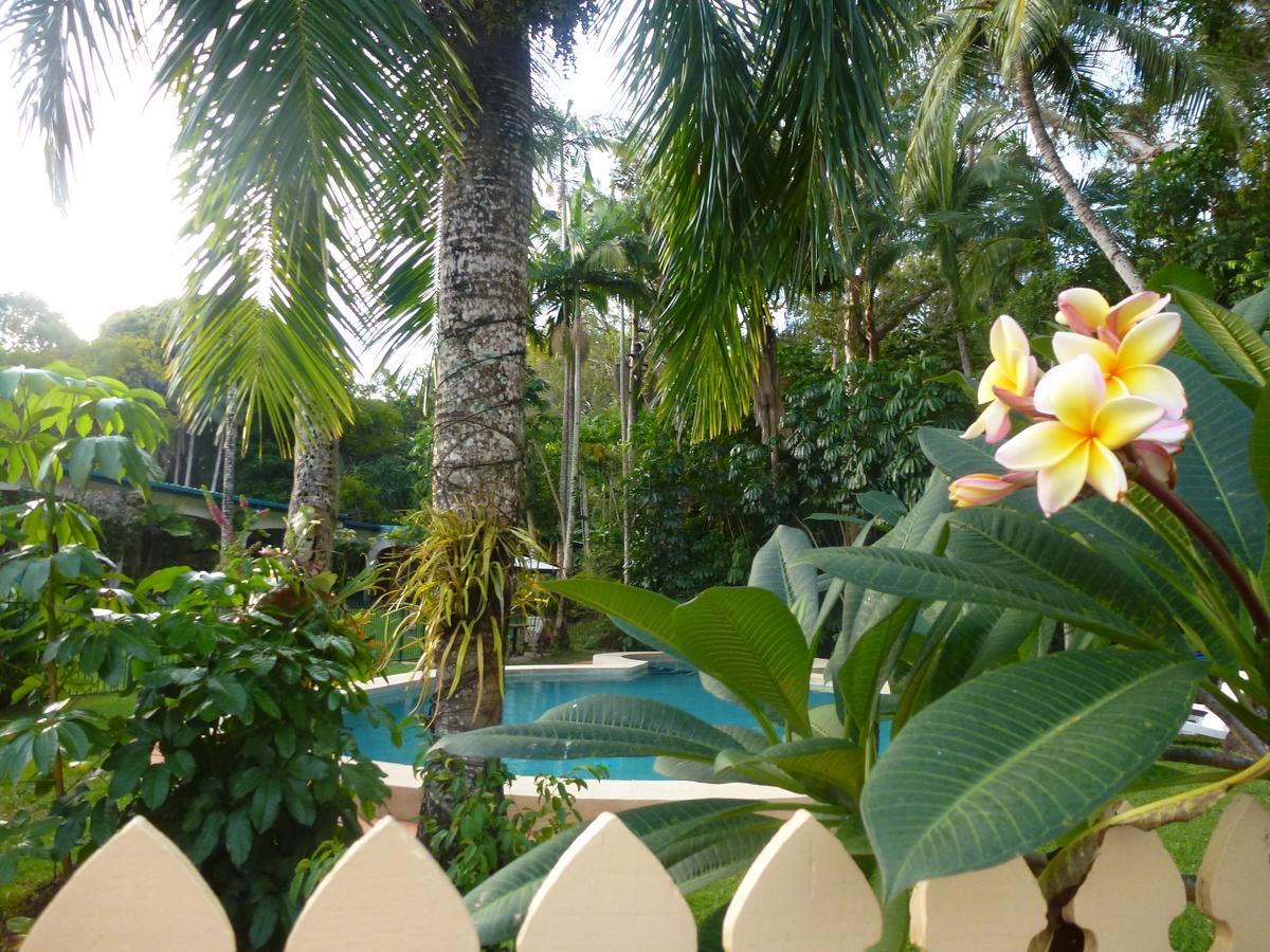 Villa Marine Holiday Apartments Cairns Yorkeys Knob Exteriér fotografie